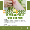 天然驅蚊叮蟲咬紫草膏工作坊 Natural Mosquito Bite & Insect Sting Relief Comfrey Ointment Workshop