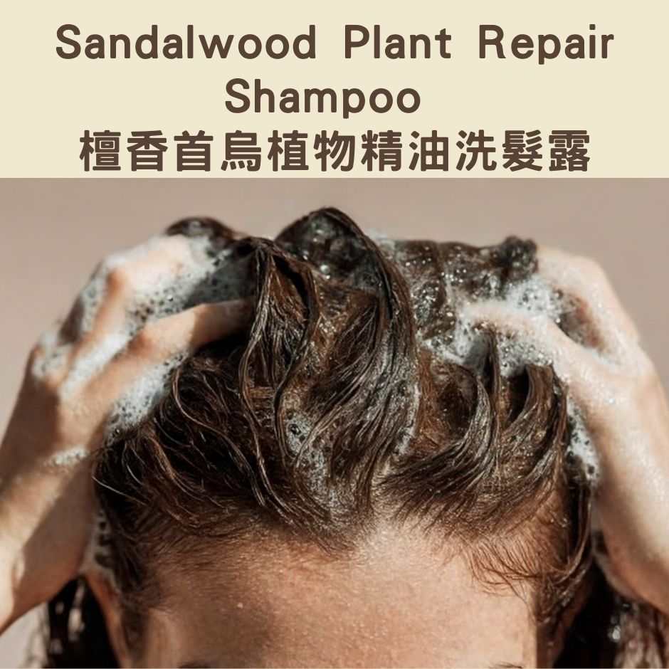 Sandalwood Plant Repair Shampoo - 檀香首烏植物精油洗髮露