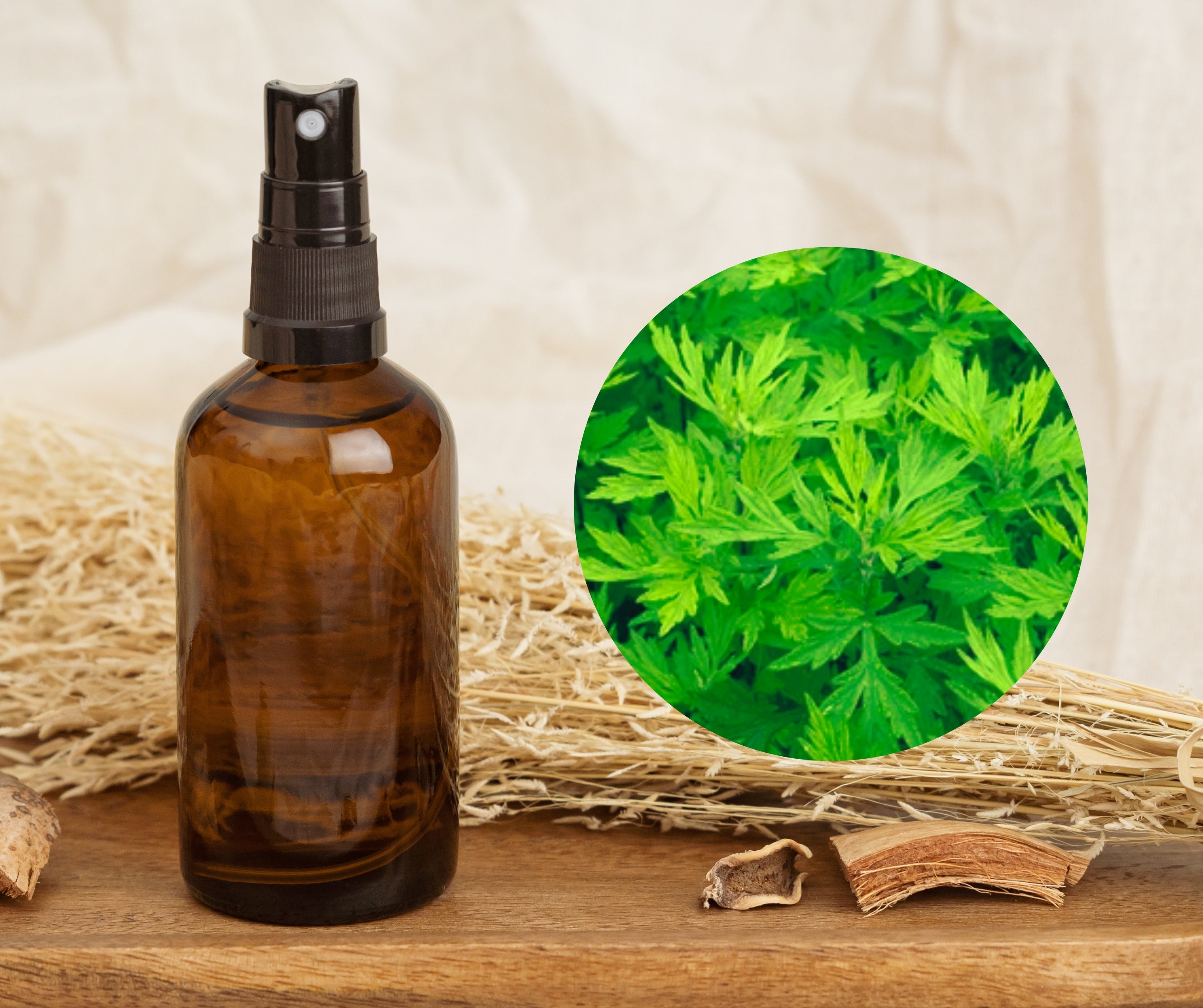 Wild Mugwort - 艾草純露