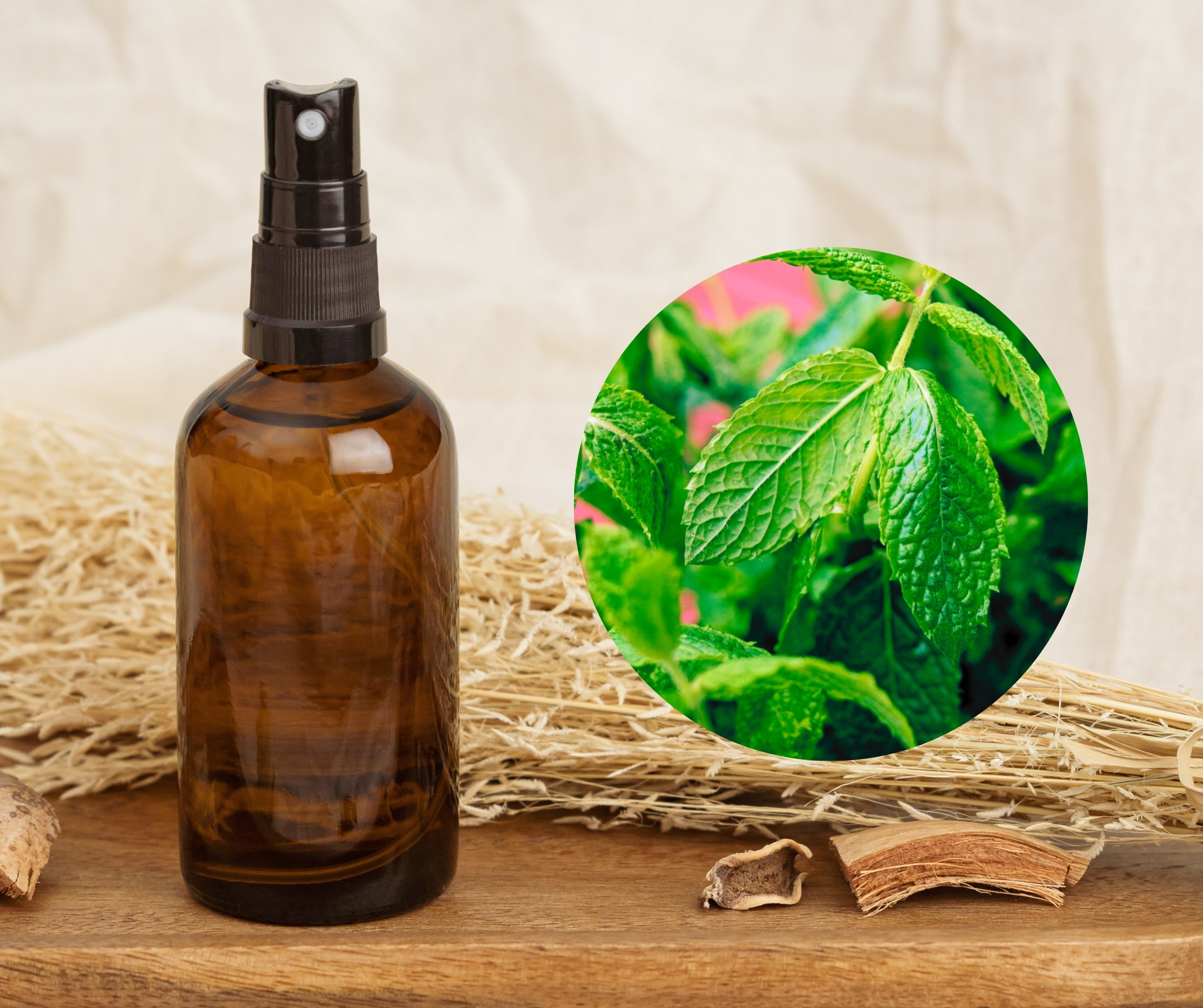 Peppermint - 薄荷純露