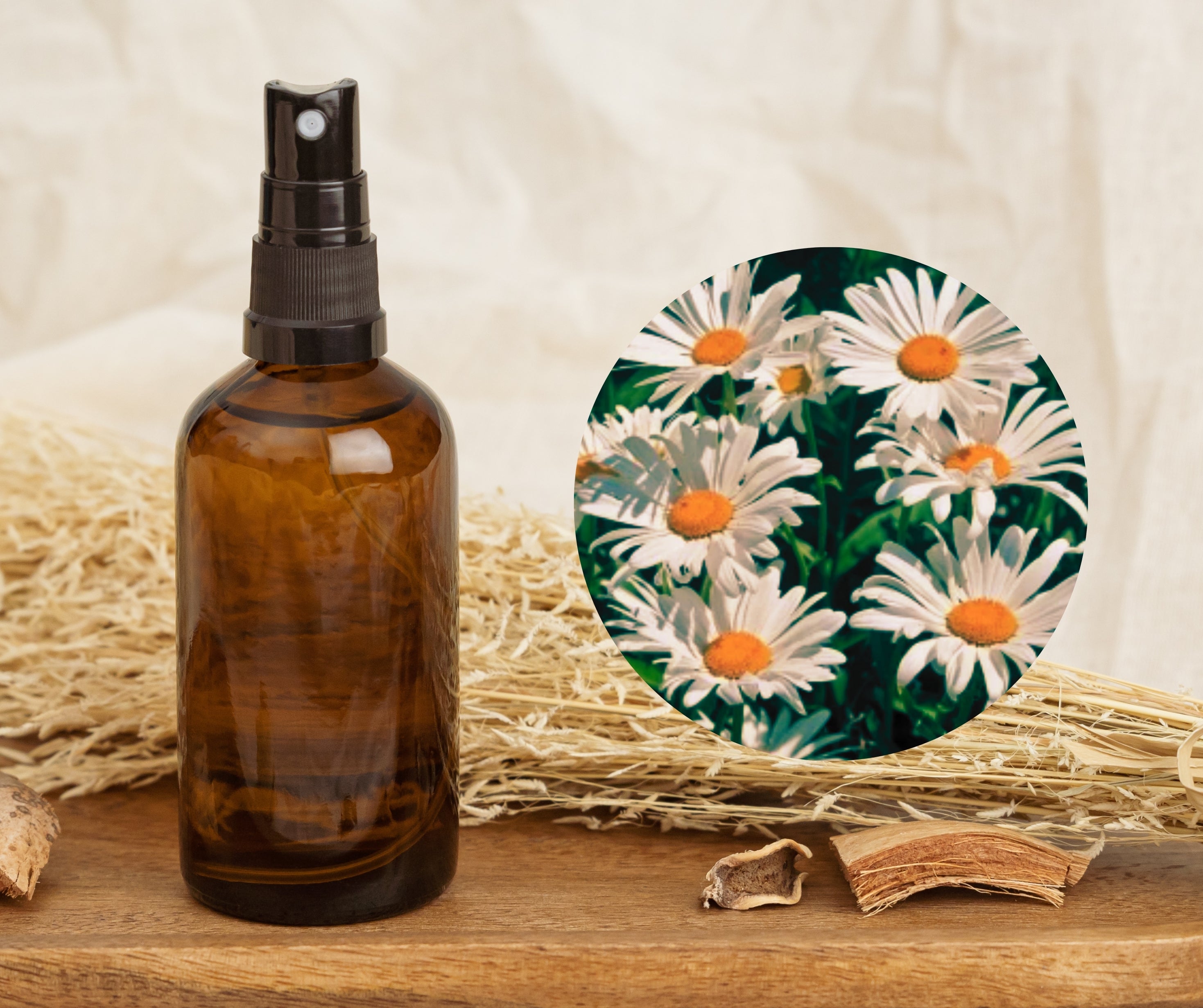 Roman Chamomile - 羅馬洋甘菊純露