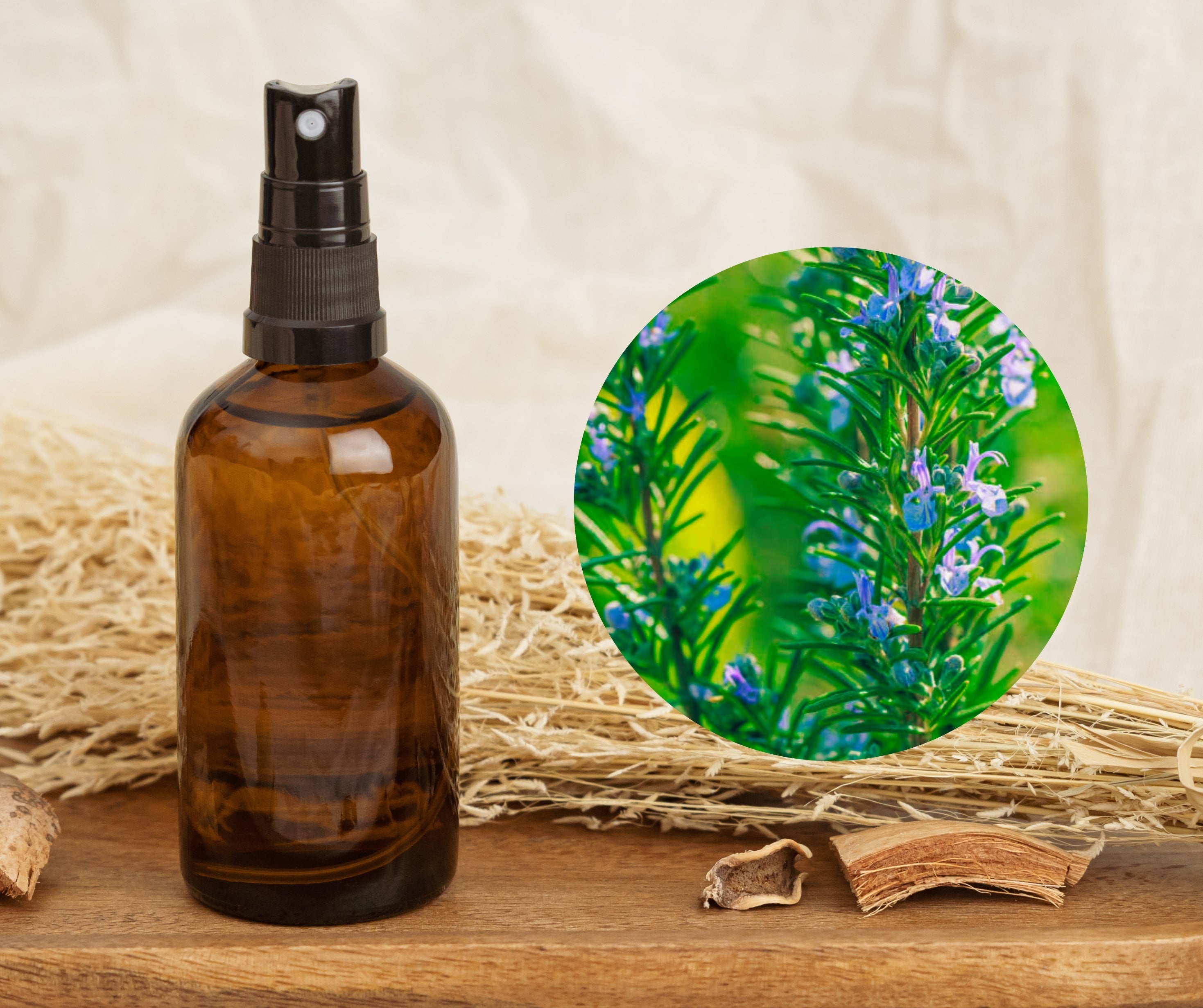 Rosemary - 迷迭香純露