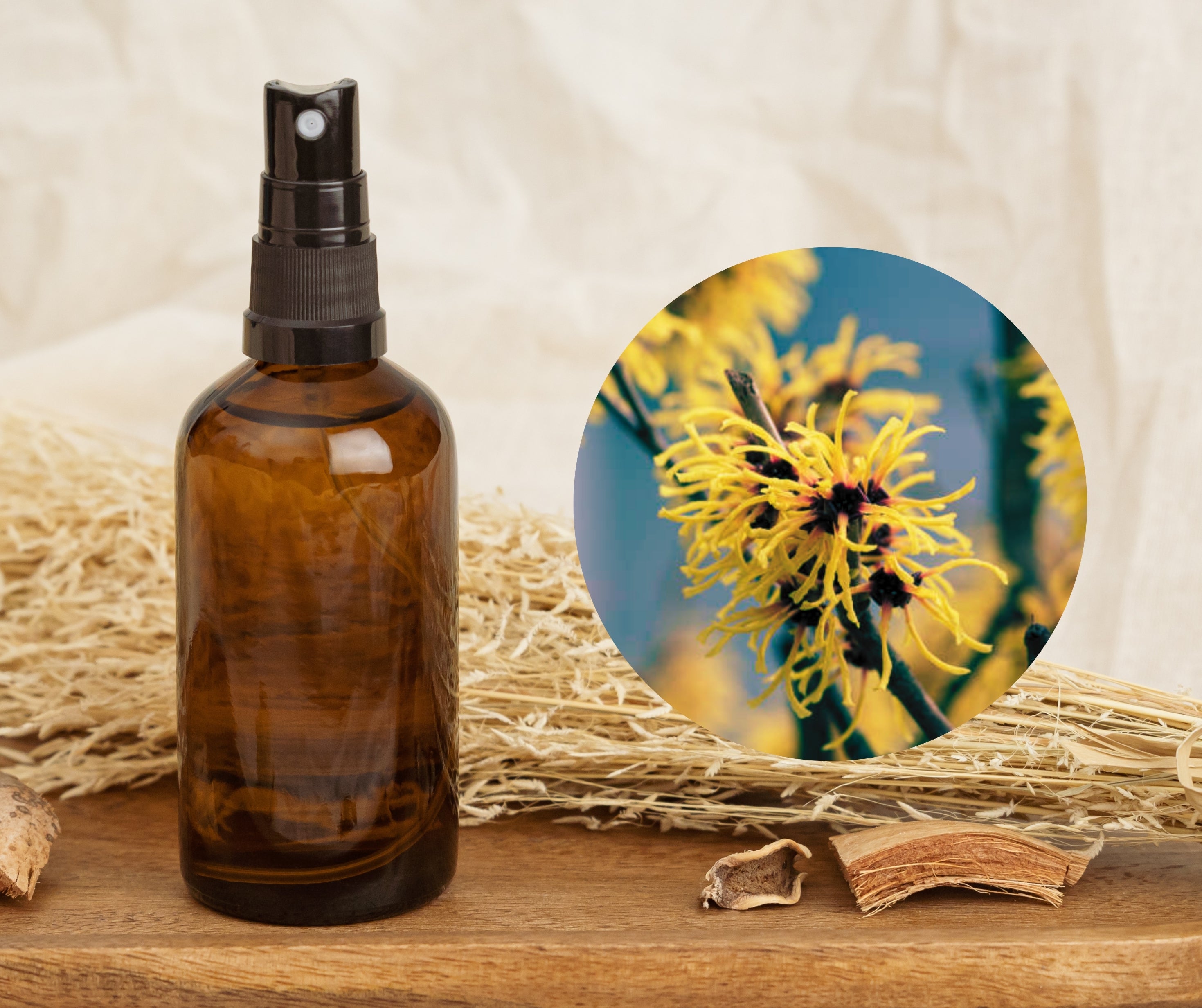 Hamamelis - 金縷梅純露