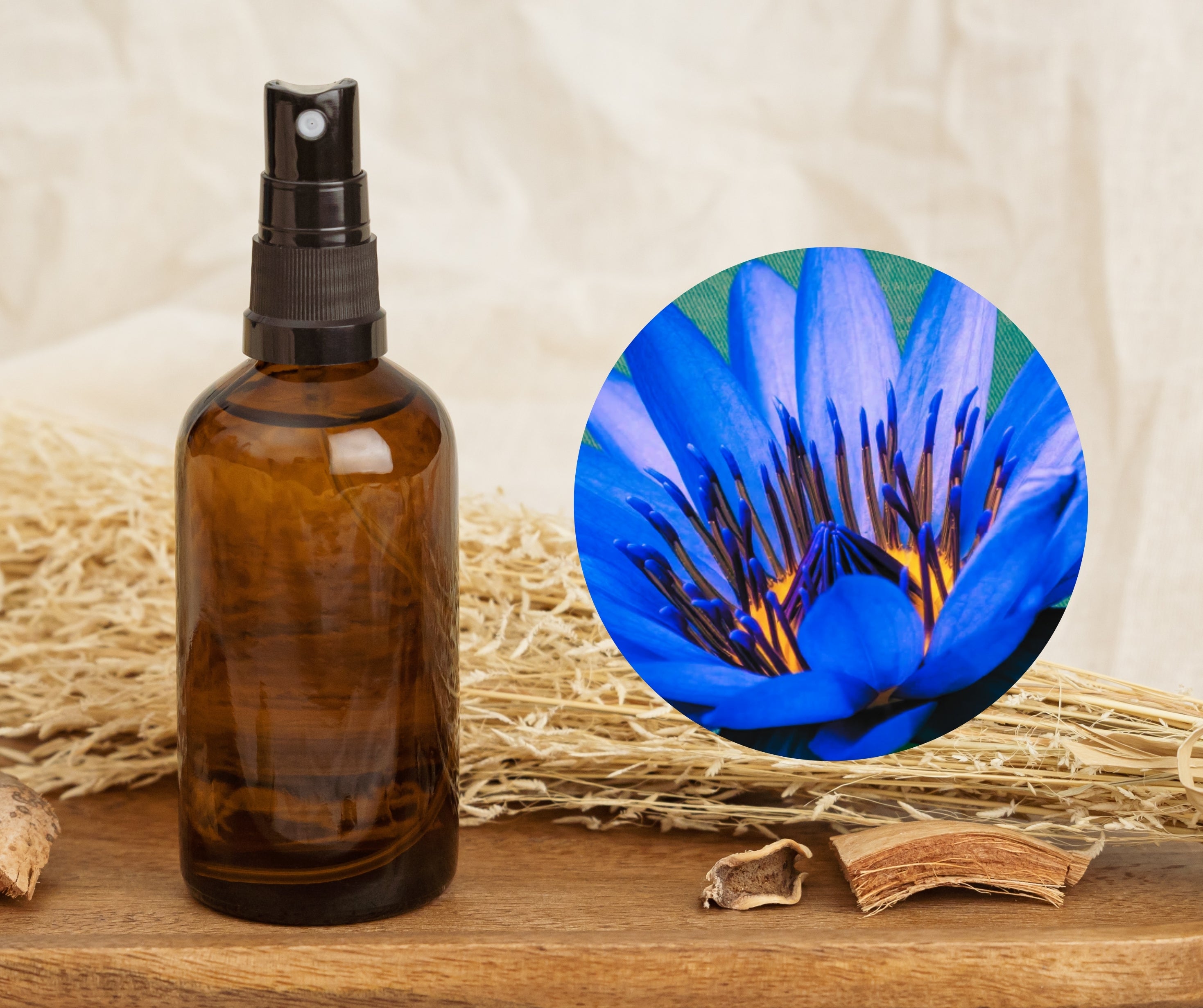 Blue Lotus - 藍蓮花純露