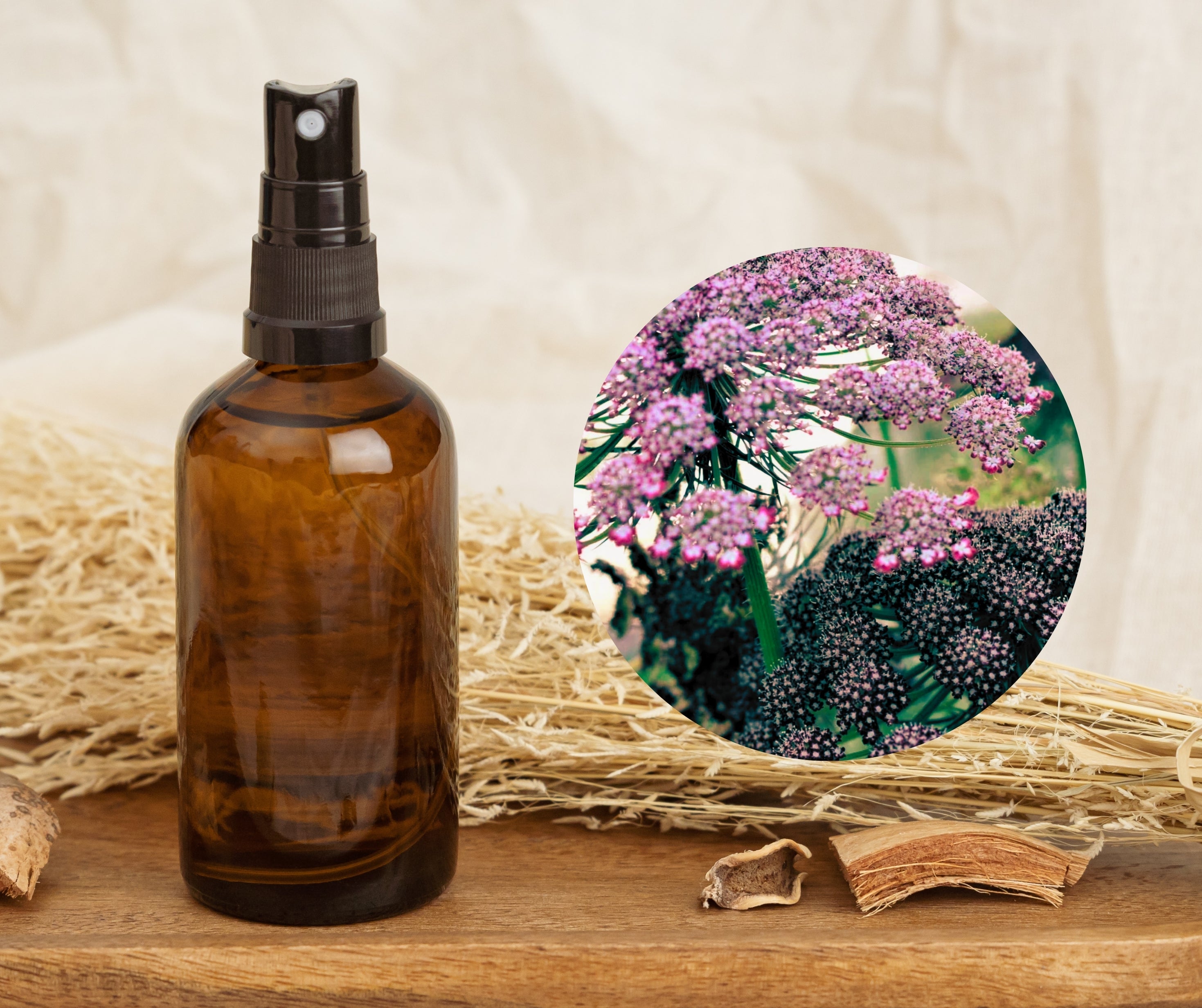 Carrot Seed - 胡蘿蔔籽純露