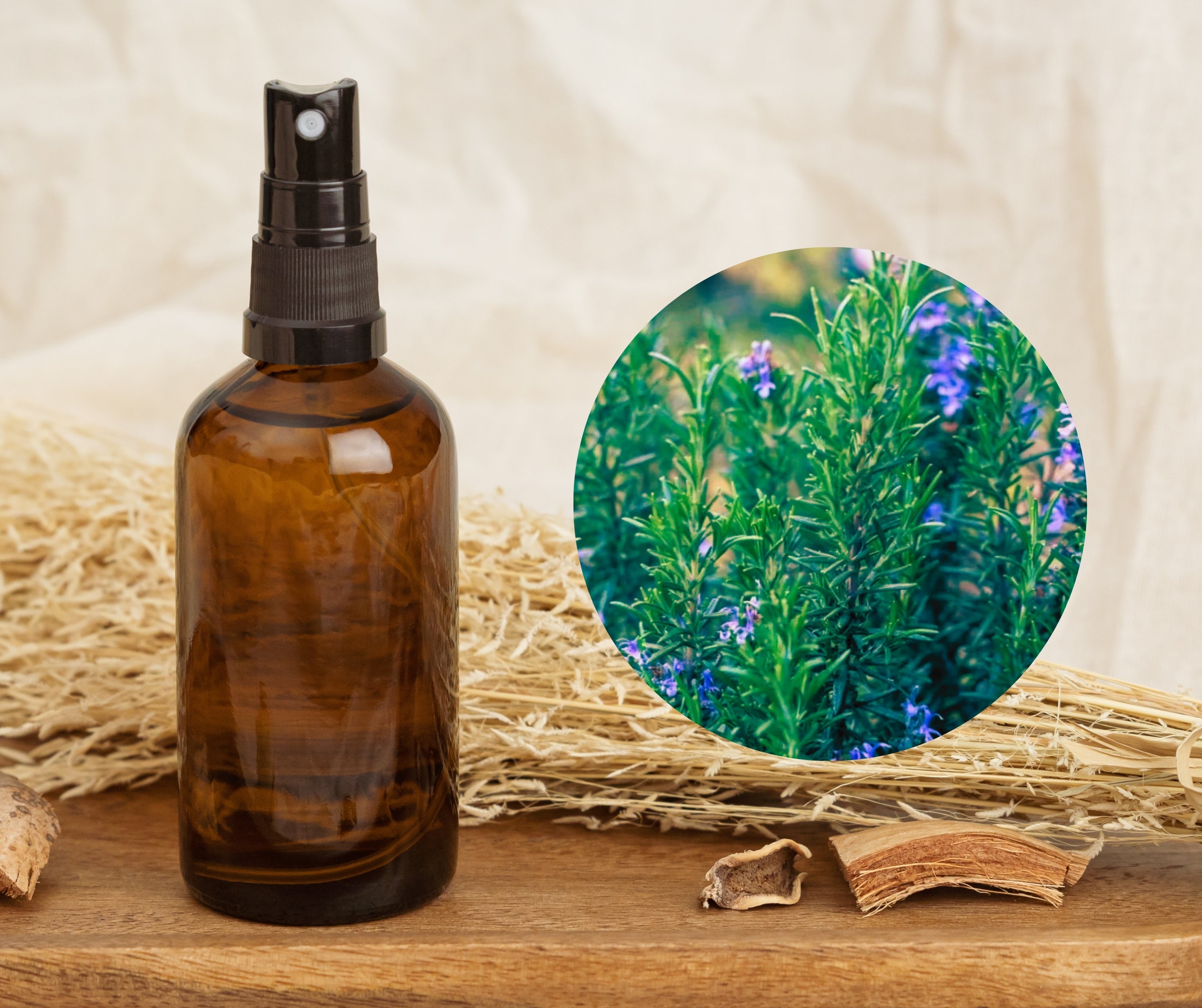 Rosemary Verbenone - 馬鞭草酮迷迭香純露 – HCK AROMATHERAPY