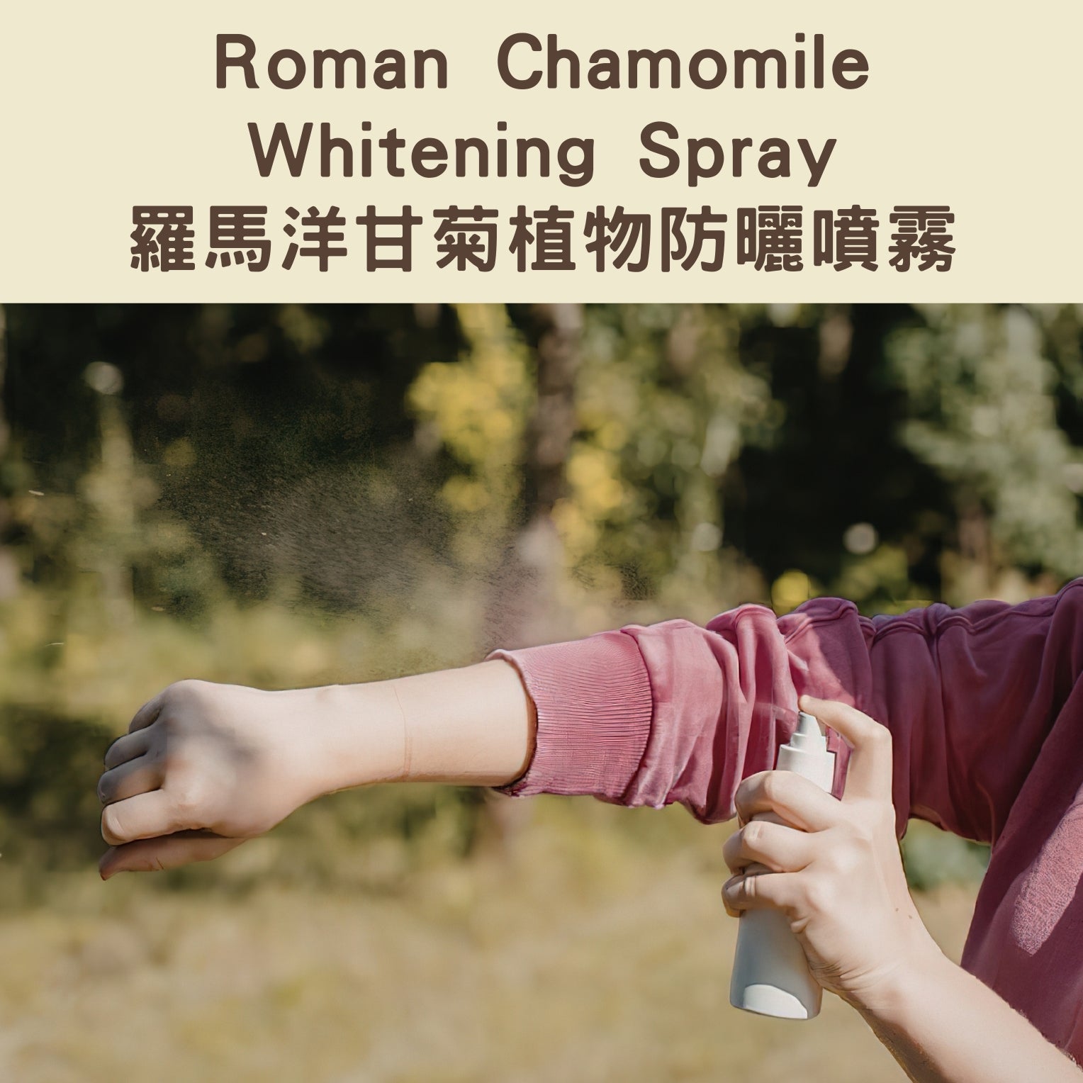 Roman Chamomile Whitening Spray - Roman Chamomile Plant-Based Sunscreen Spray