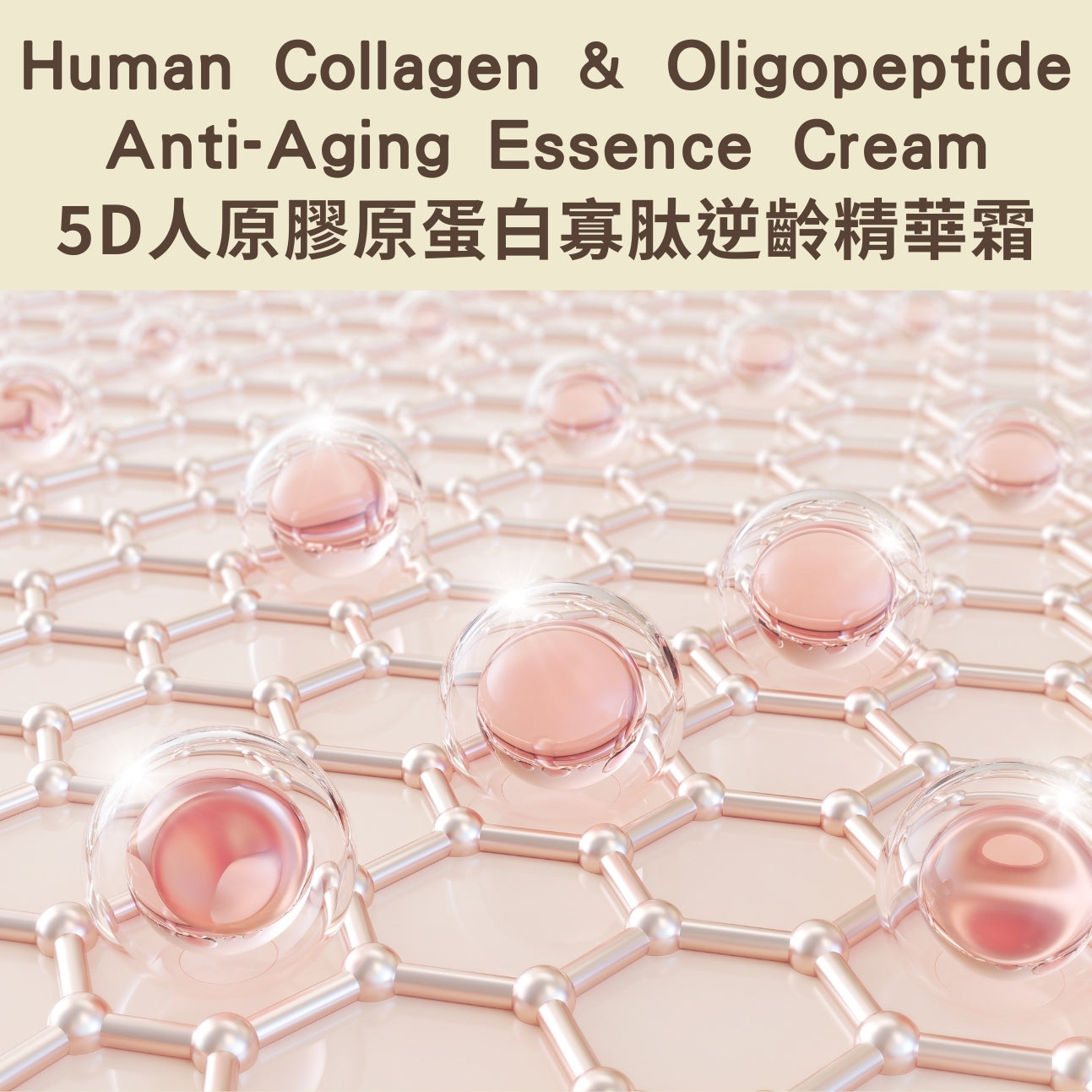 Human Collagen & Oligopeptide Anti-Aging Essence Cream - 5D人原膠原蛋白寡肽逆齡精華霜（粉）