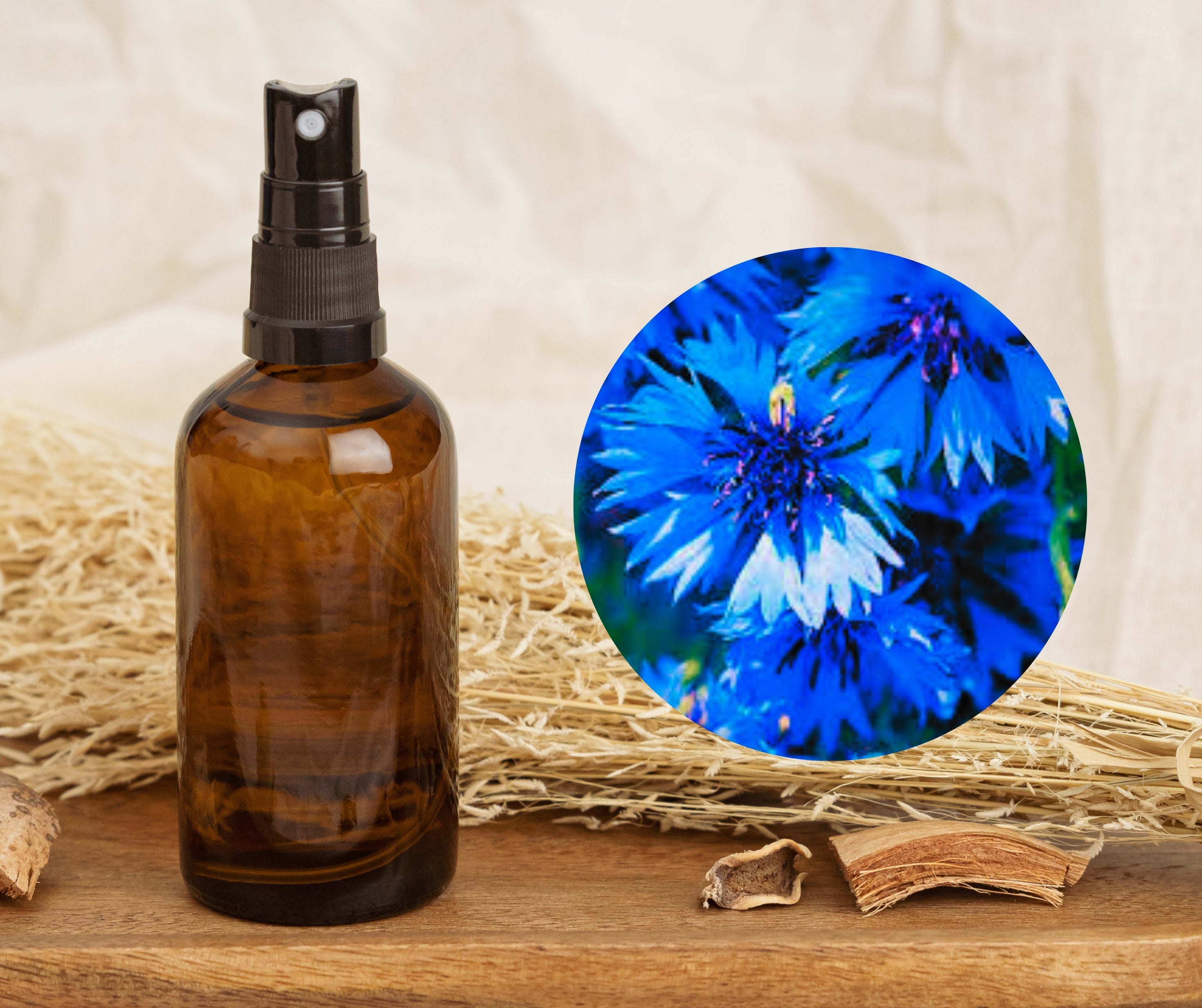 Cornflower - 矢車菊純露