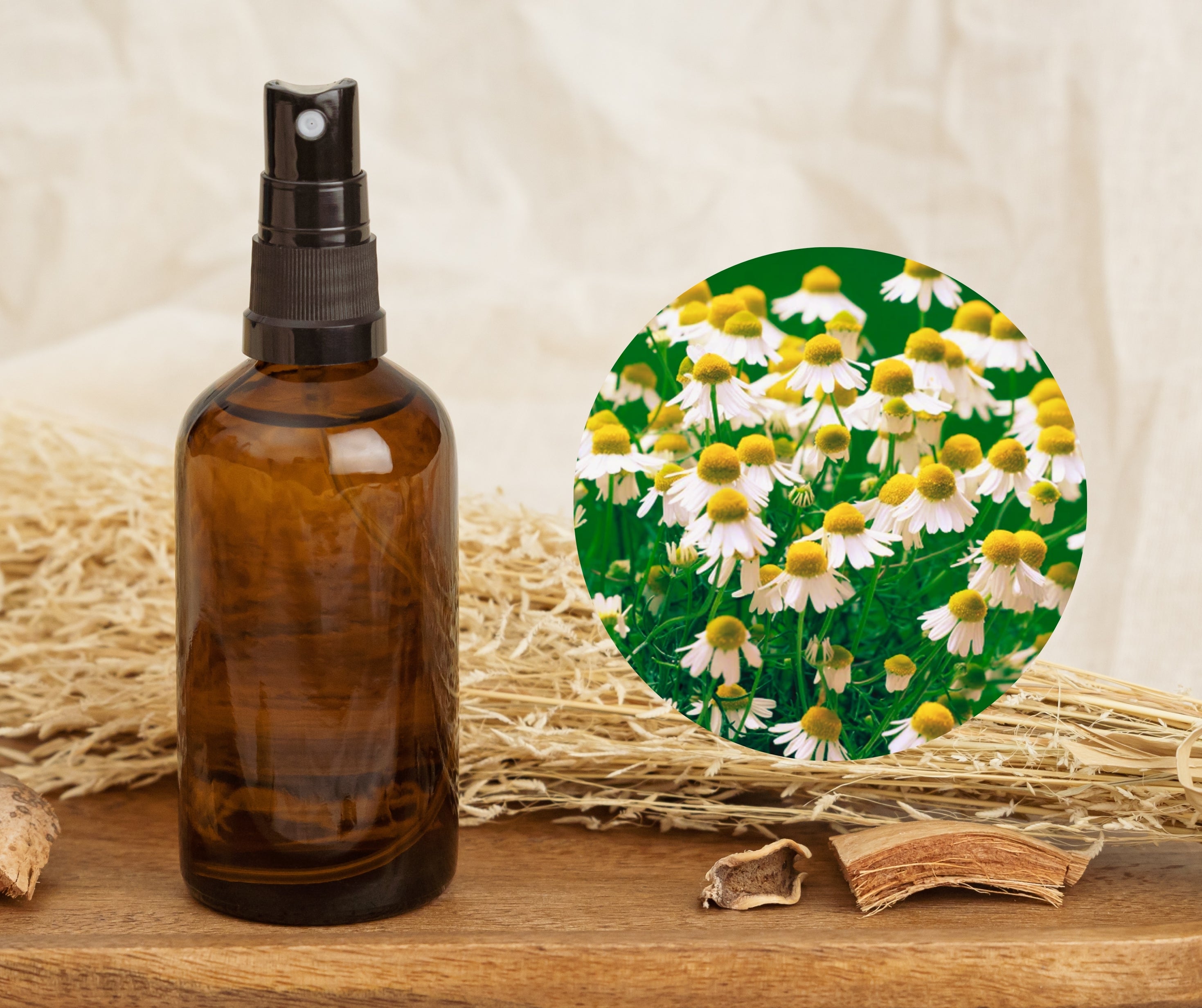 German Chamomile - 德國洋甘菊純露