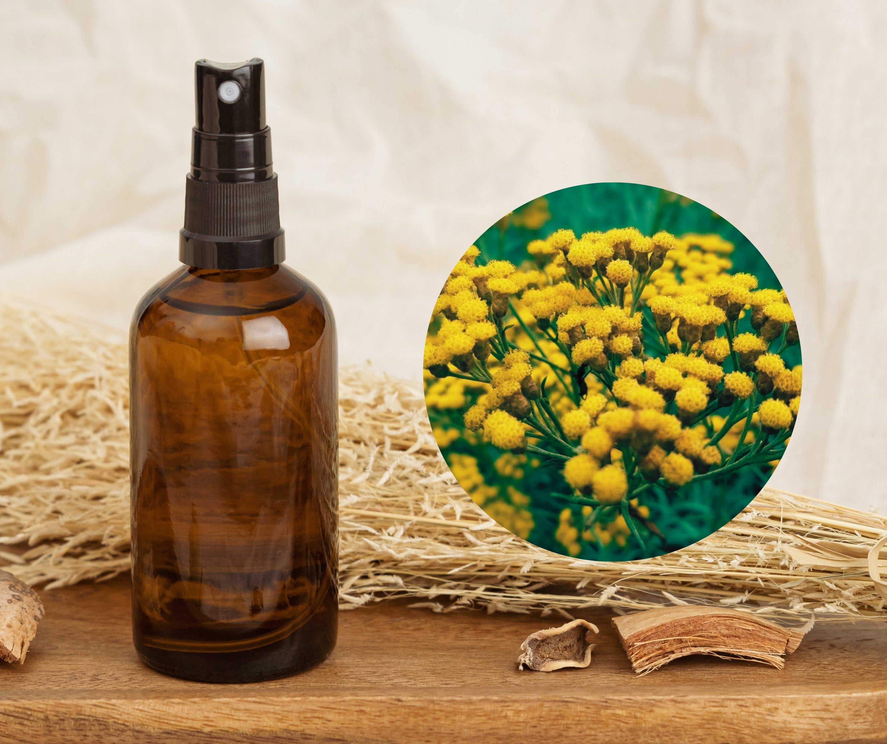 Immortelle - 永久花純露