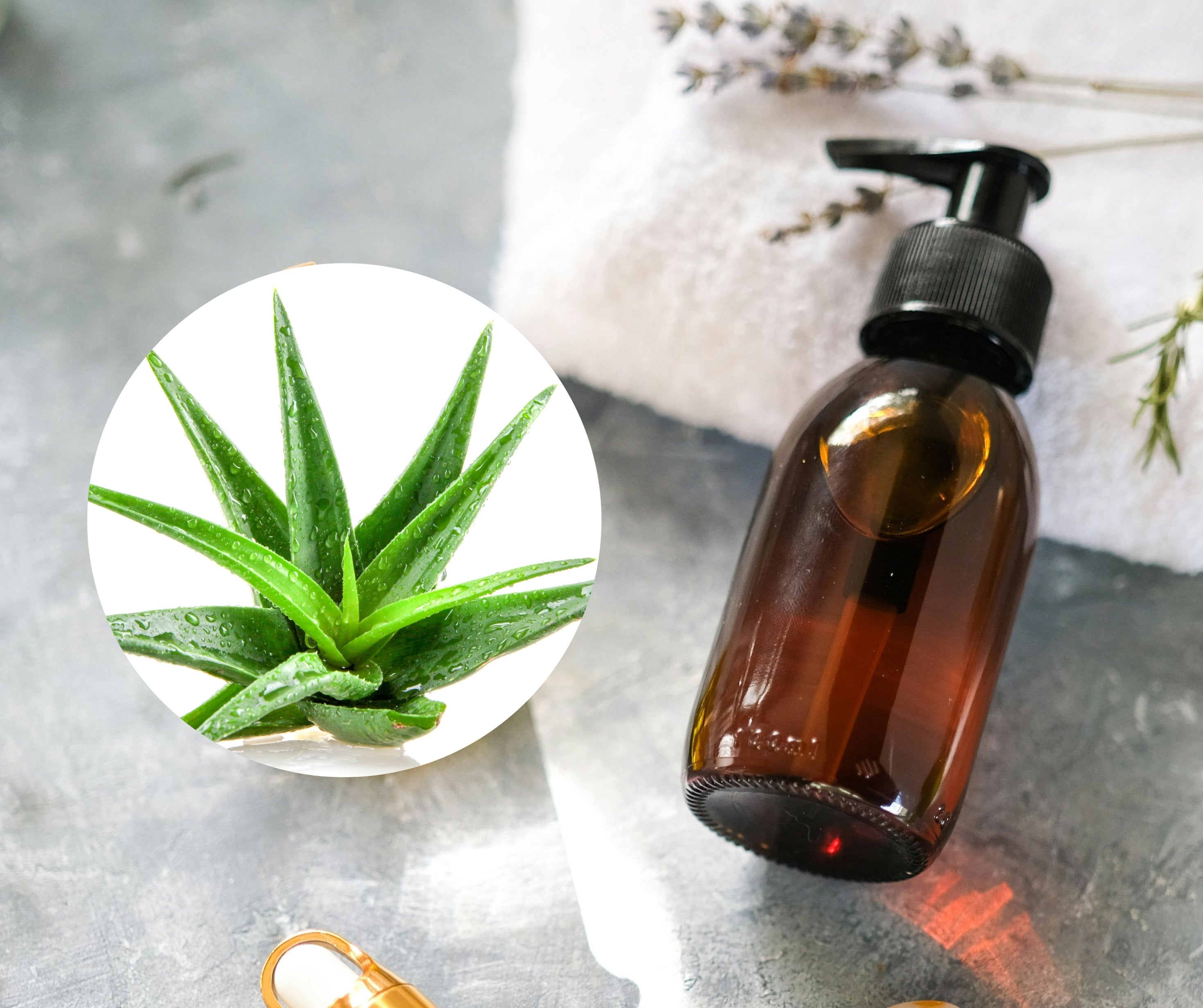 Aloe Oil - 蘆薈油