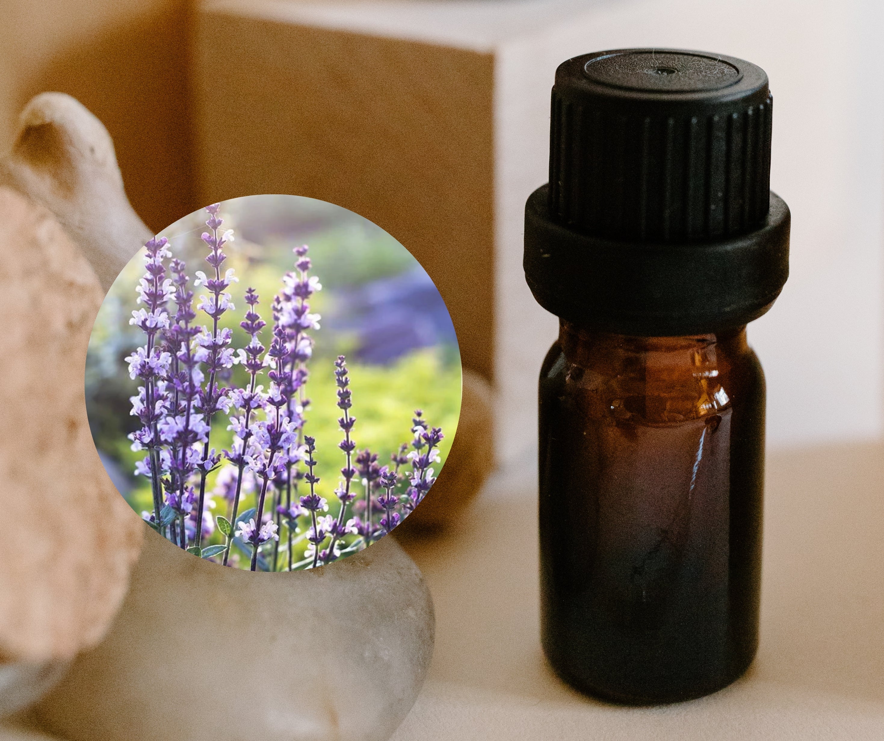 Clary Sage 快樂鼠尾草