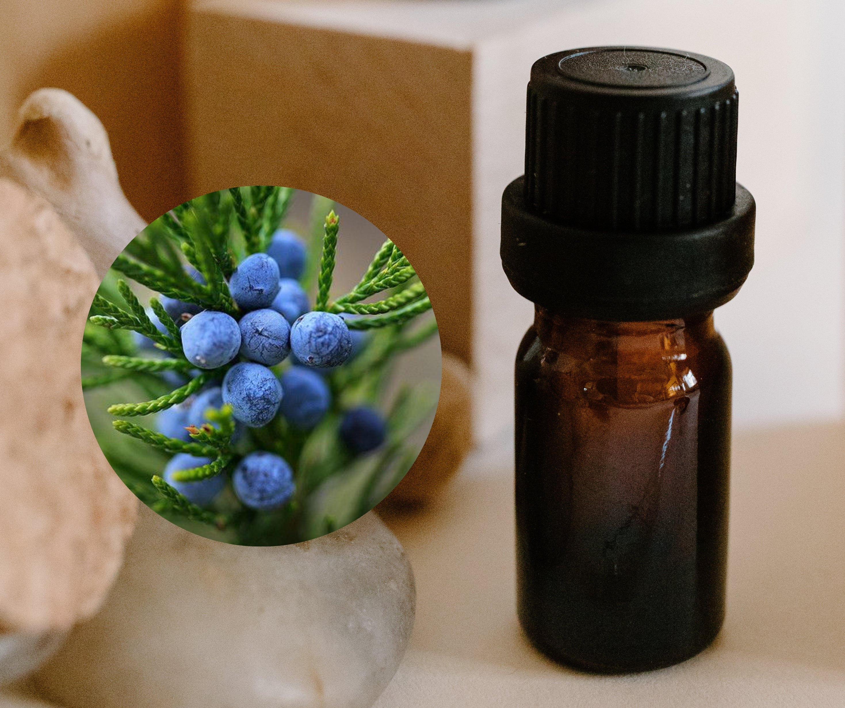 Juniper Berry 杜松