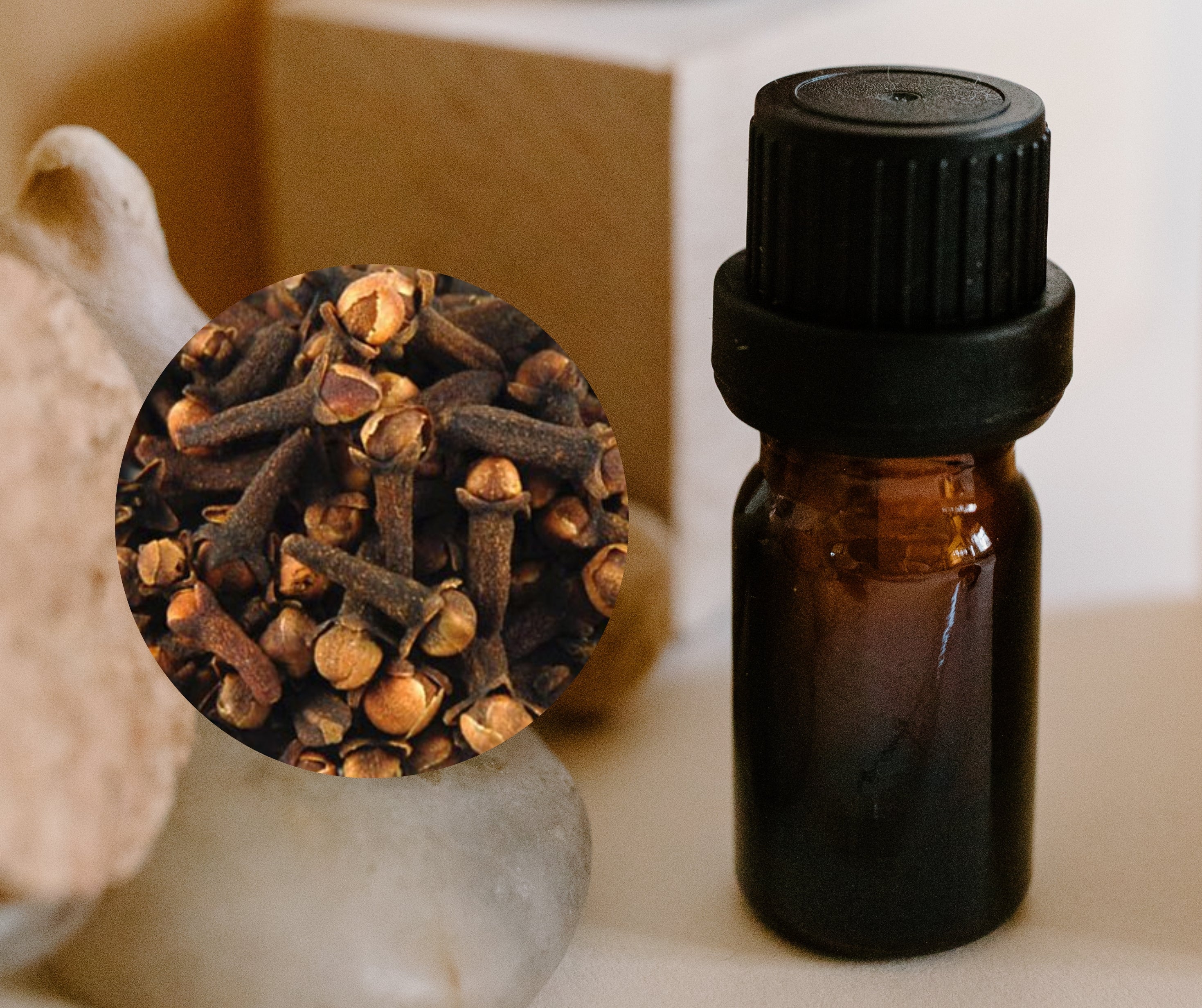 Clove - 丁香