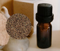 Celery Seed - 芹菜籽