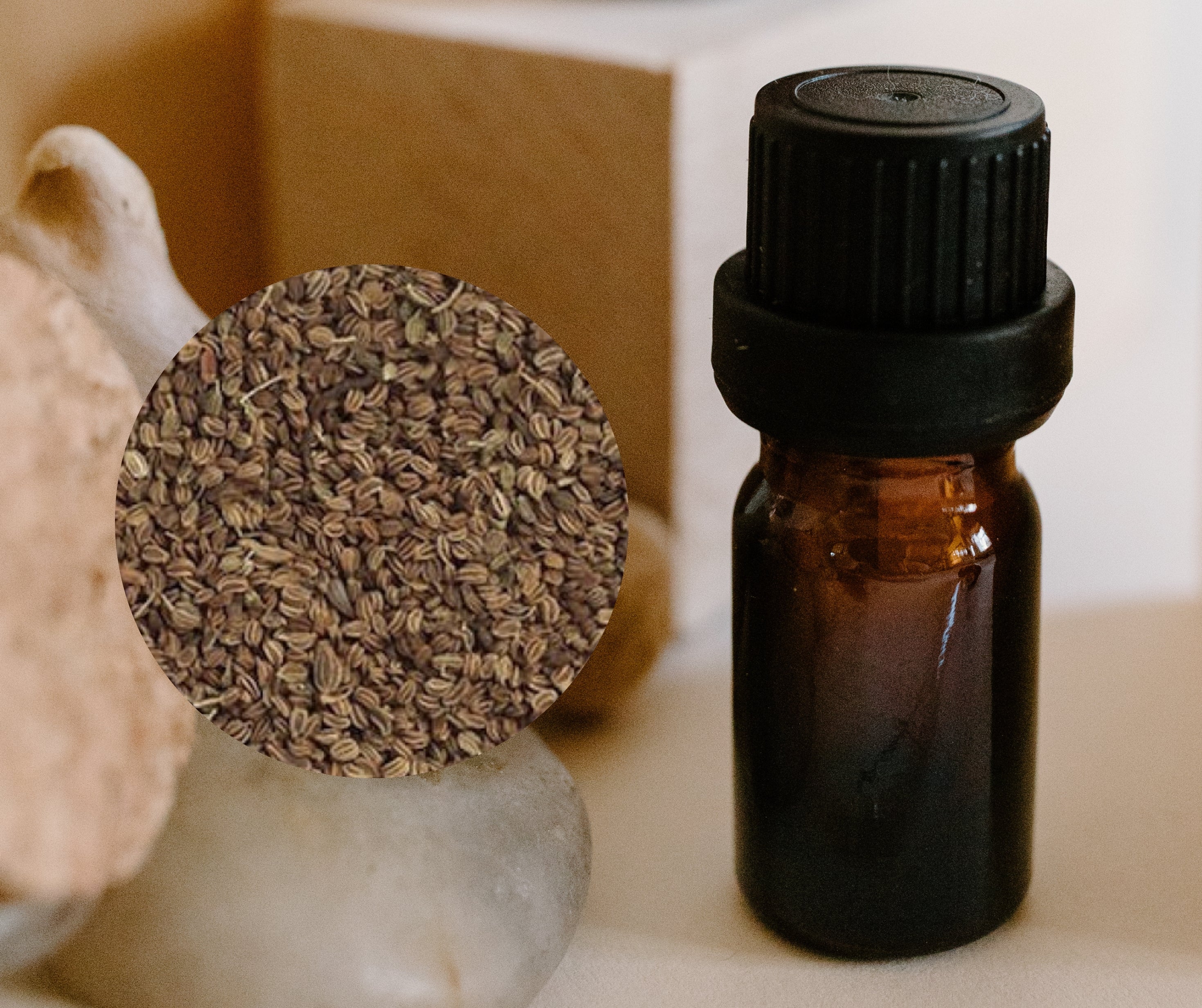 Celery Seed - 芹菜籽
