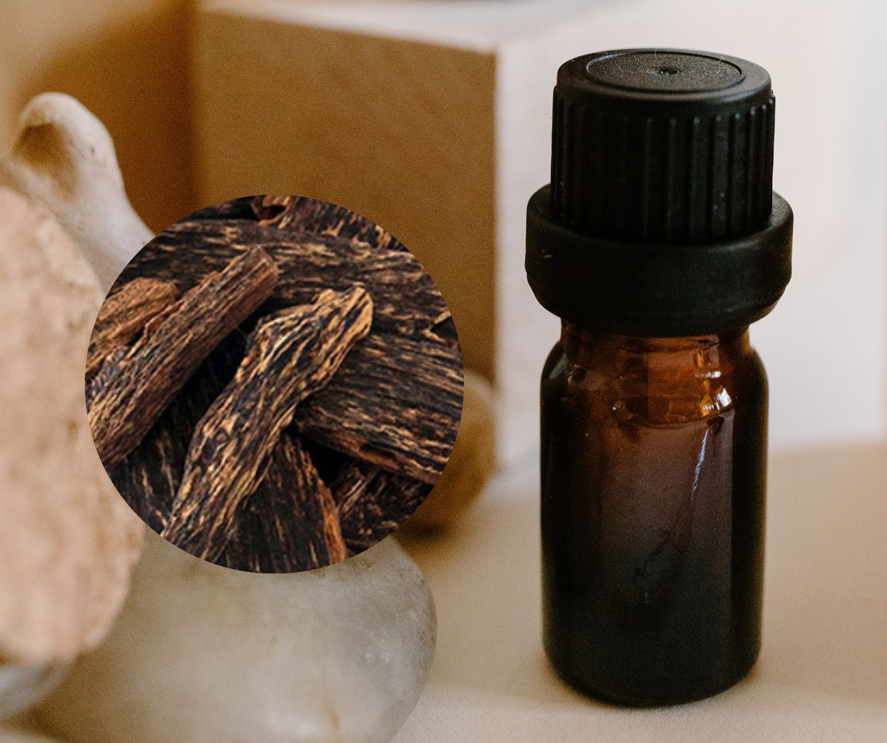 Agarwood / Oud 沉香– HCK AROMATHERAPY