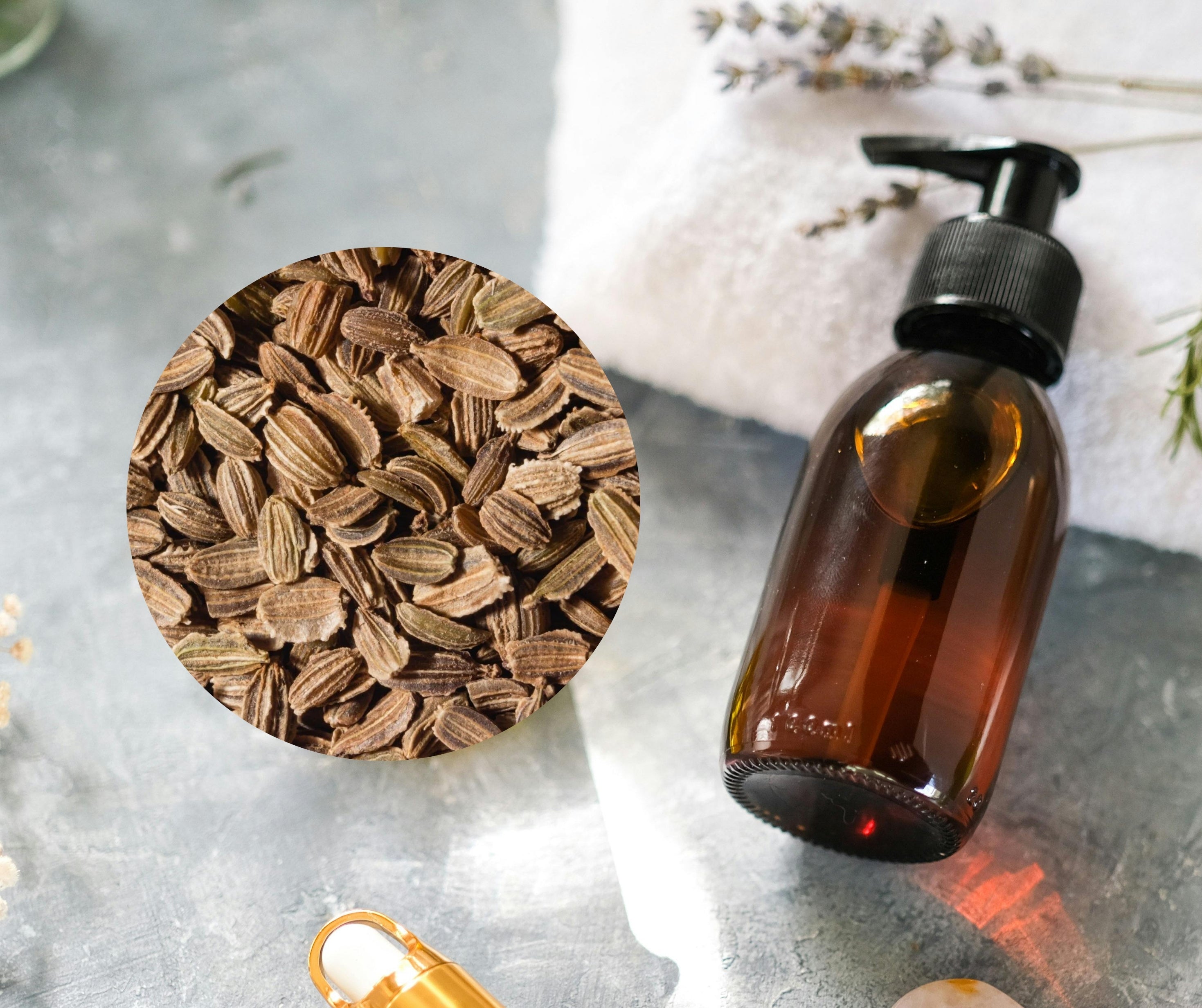 Carrot Seed Oil - 胡蘿蔔籽油