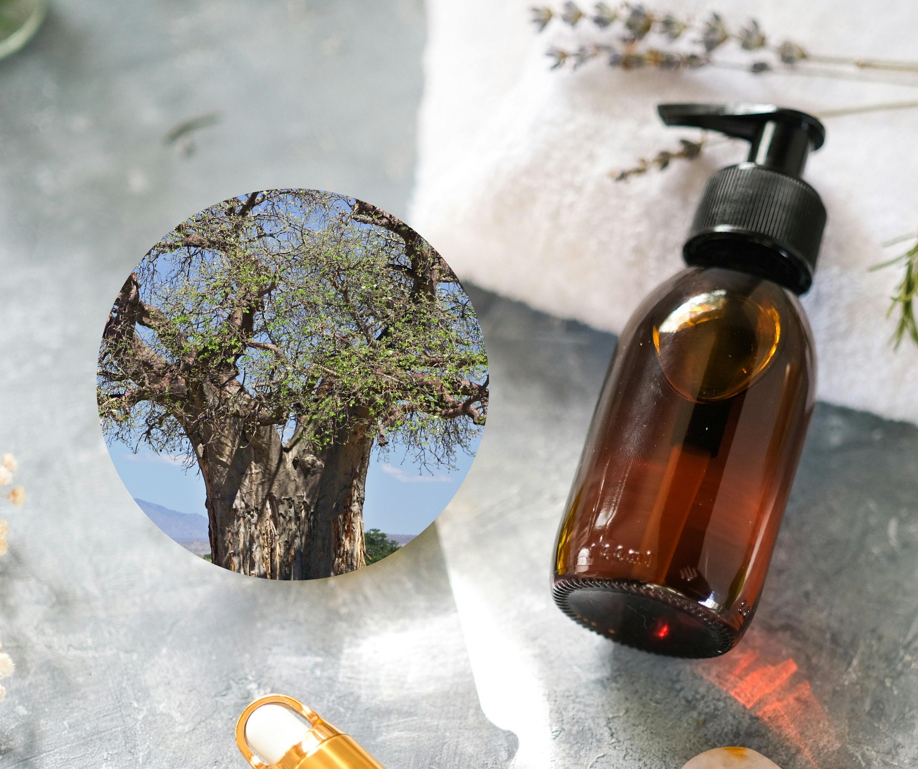 Baobab Oil - 猴麵包樹油