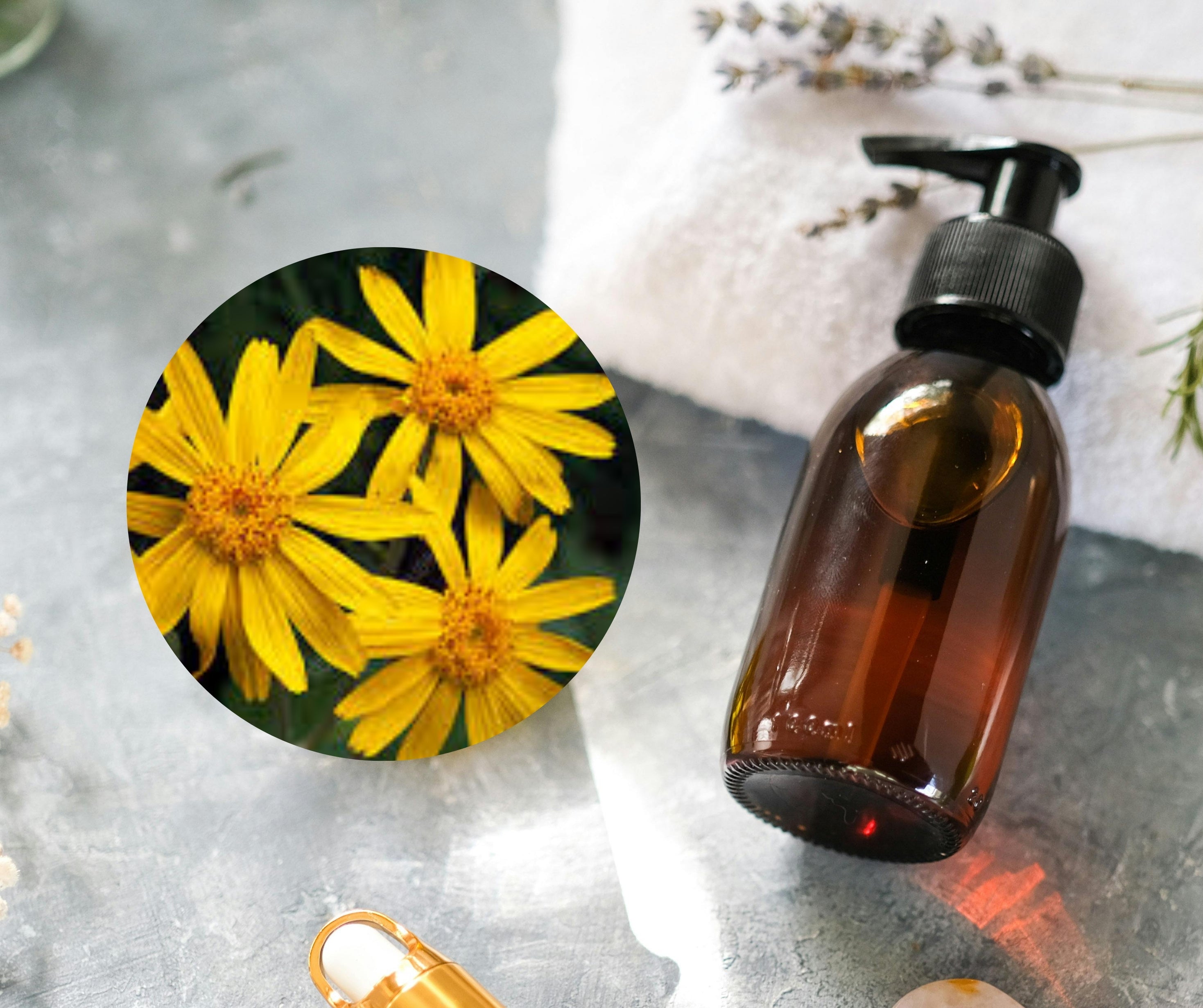 Arnica Oil - 山金車油