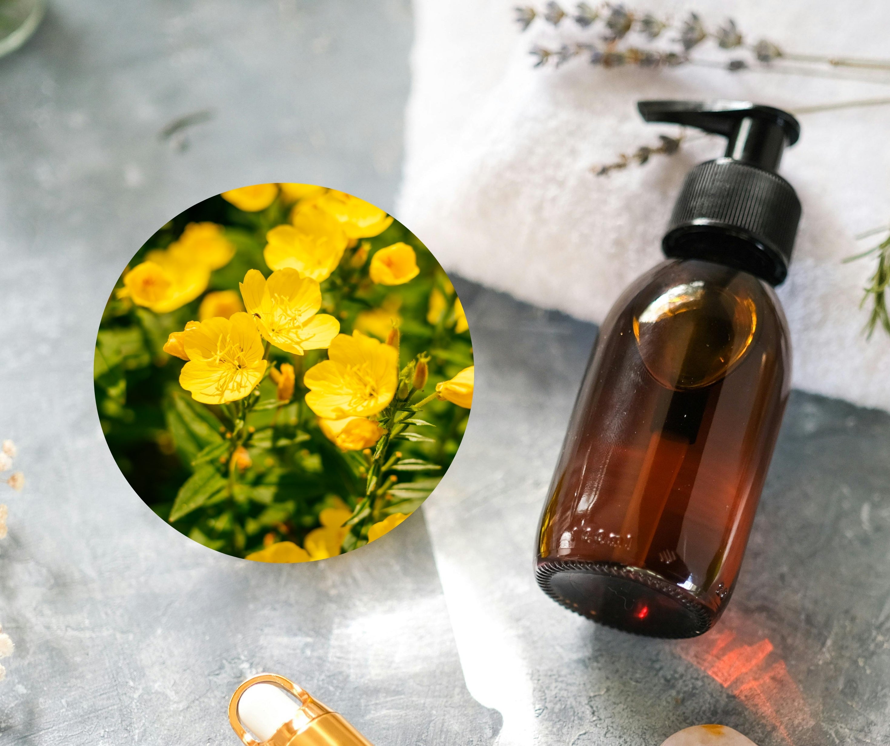 Evening Primrose Oil - 月見草油