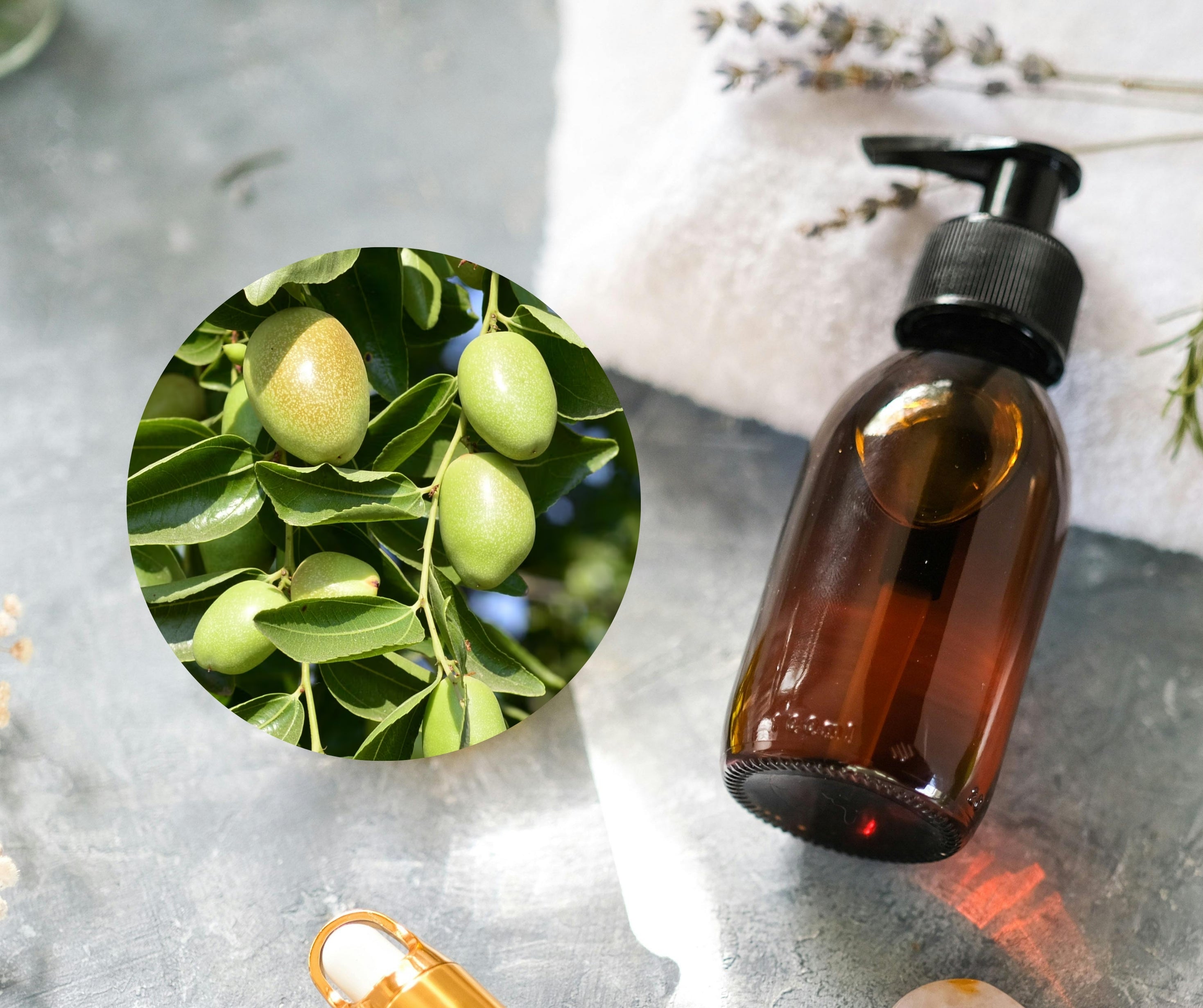 Jojoba Oil - 荷荷巴油