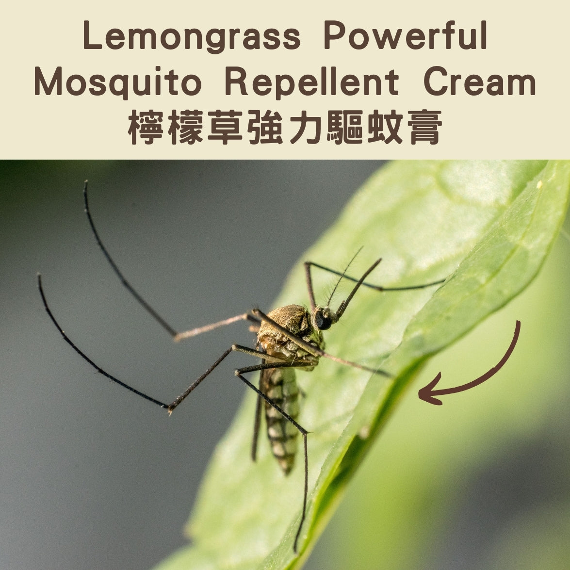 Lemongrass Powerful Mosquito Repellent Cream