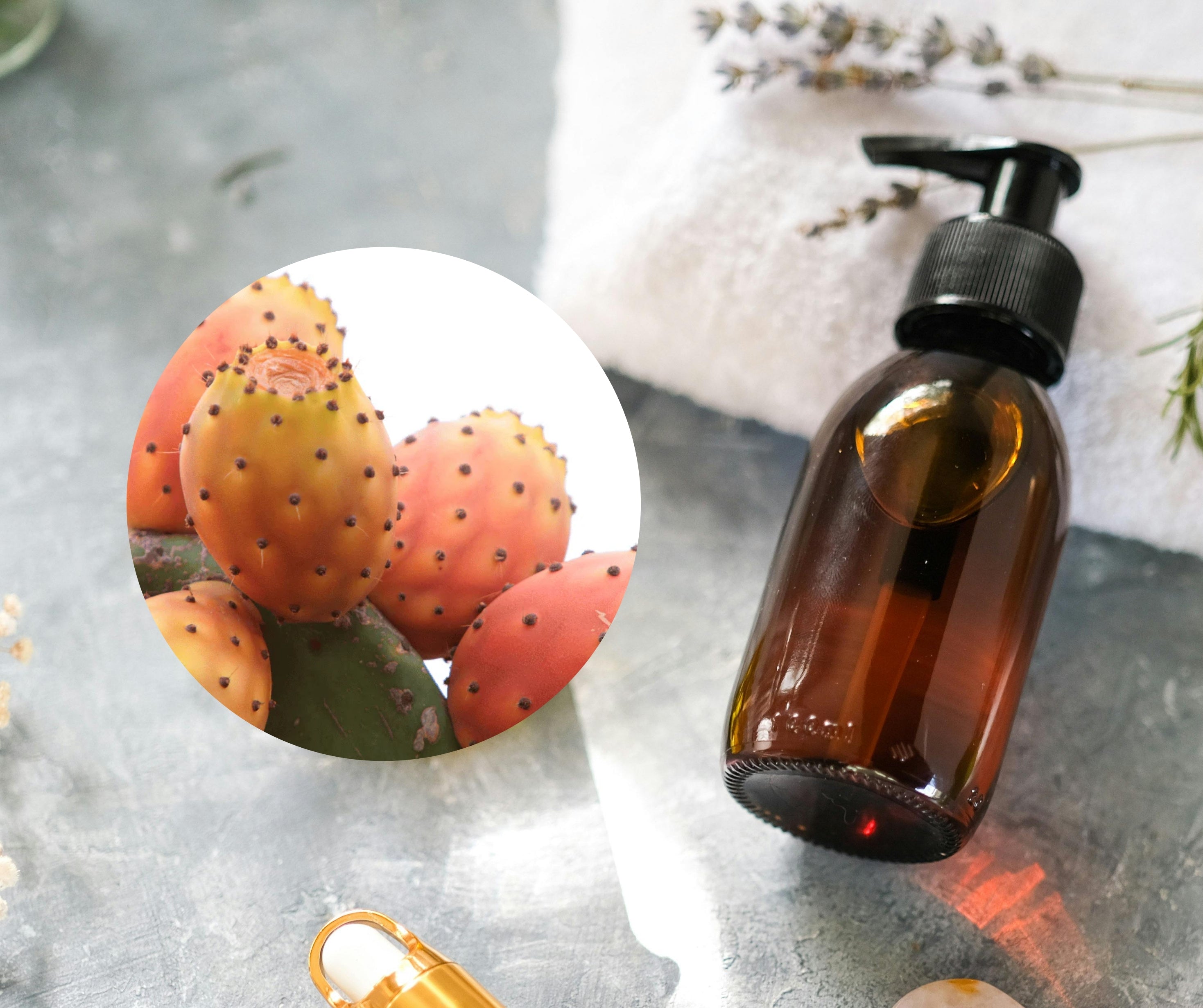Prickly Pear Seed Oil - 仙人掌籽油