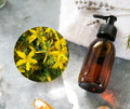 St. Johns Wort Infused Oil - 聖約翰草油