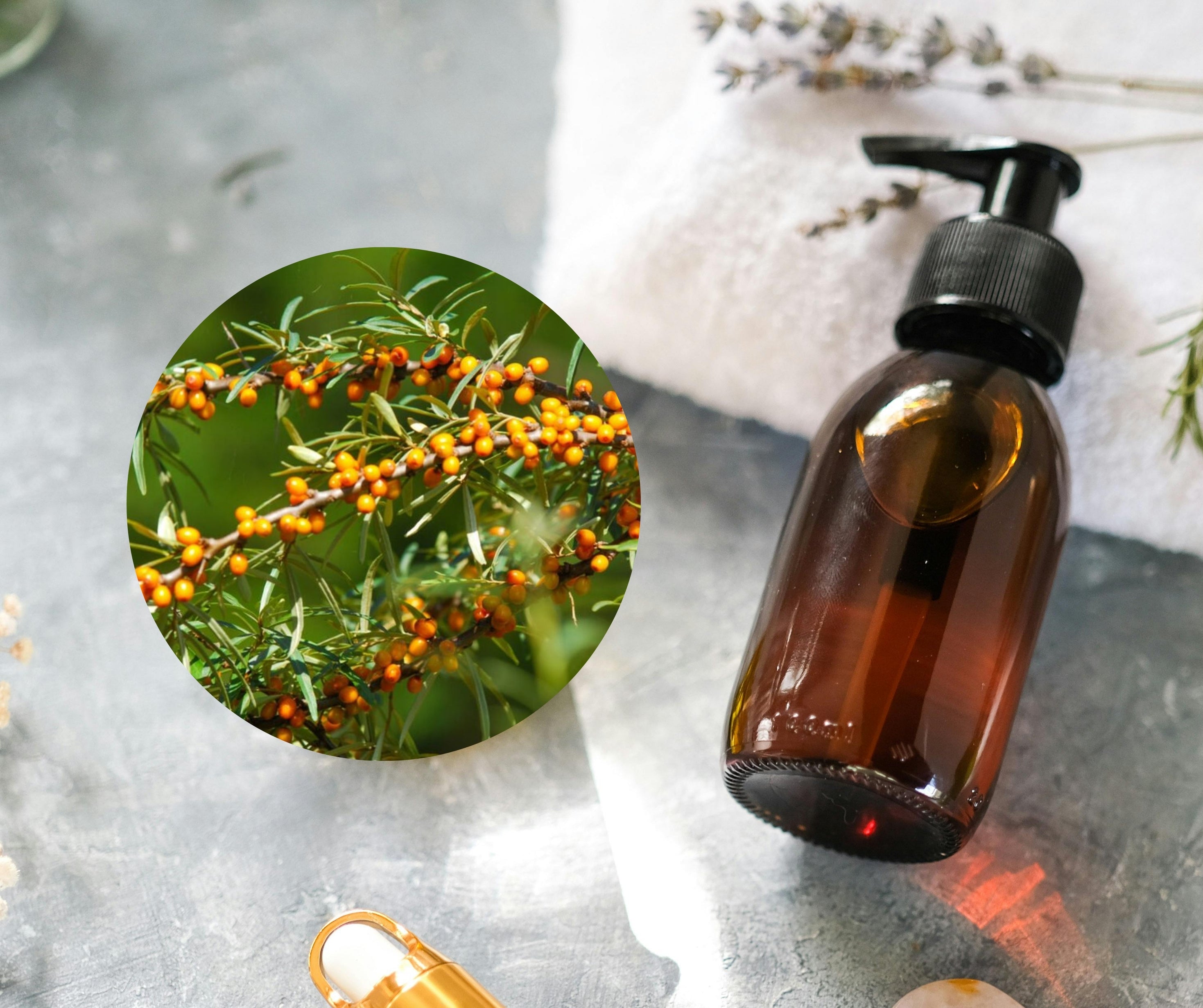 Sea Buckthorn Oil - 沙棘油